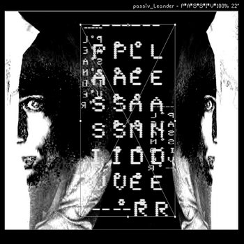 P*A*S*S*I*V*100% 22"