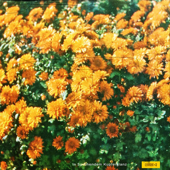 In Sprühendem Kupferglanz LP